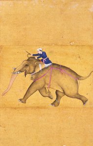 A Mahout riding an Elephant, from the Large Clive Album